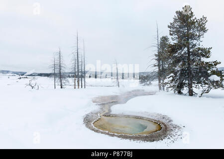 Besneeuwd Warmwaterbron in Yellowstone Nationaal Park; Hot Spring im Schnee Yellowstone National Park Stockfoto