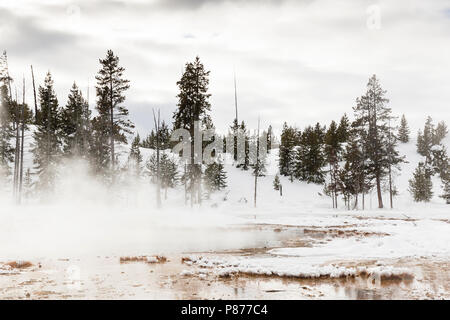 Hotspring in Old Faithful Bereich im Yellowstone National Park Stockfoto