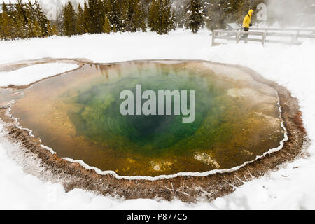 Warmwaterbron im Yellowstone National Park; Hot Spring im Yellowstone National Park Stockfoto