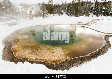 Warmwaterbron im Yellowstone National Park; Hot Spring im Yellowstone National Park Stockfoto