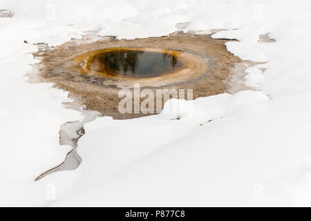 Warmwaterbron im Yellowstone National Park; Hot Spring im Yellowstone National Park Stockfoto