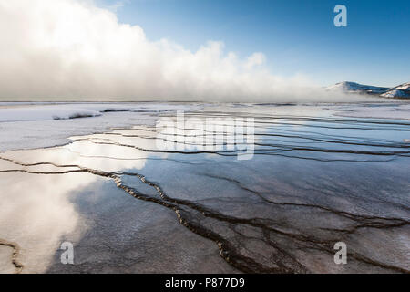 Dampfende Upper Geyser Basin im Yellowstone National Park Stockfoto