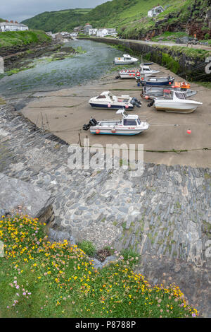 Boscastle Harbour, die Szene der zerstörerischen Überschwemmungen in 2004, jetzt wieder aufgebaut und ein florierendes Reiseziel in North Cornwall. Stockfoto