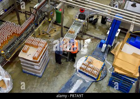 Abfüllung Produktion, Healeys Cyder, Penhallow Farm Cornwall, Truro, Cornwall, England, Großbritannien Stockfoto