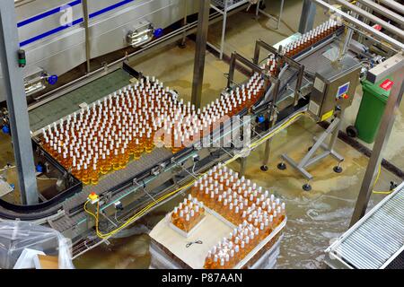 Abfüllung Produktion, Healeys Cyder, Penhallow Farm Cornwall, Truro, Cornwall, England, Großbritannien Stockfoto