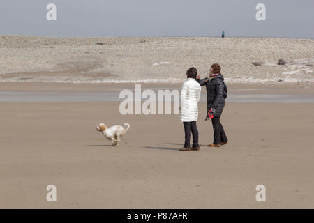 Porthcawl, South Wales, UK. 14. April 2018. UK Wetter: Hund Spaziergänger ihren Hund Spaziergang bei Porthcawl Beach, South Wales an einem sonnigen Tag. Stockfoto