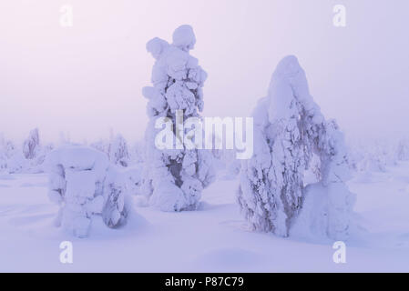 Winter Szene aus fiel Sammaltunturi in Muonio, Finnland, Lappland Stockfoto