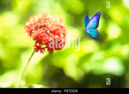 Butterfiles im Sommer Stockfoto