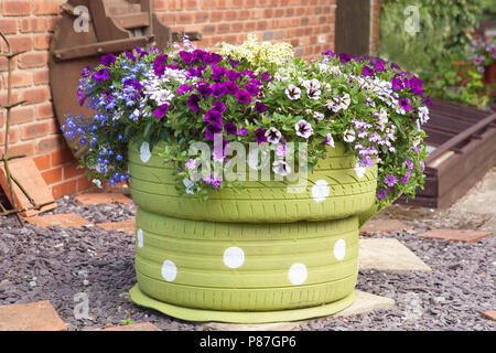 Eine überdimensionale Tee Tasse vom Autoreifen bepflanzt mit Petunien und lobelia gemacht Stockfoto