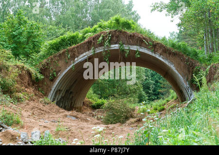 Der alte Hangar für Flugzeuge, eine militärische Hangar in einem Wald bewachsen In den Wäldern vergossen Stockfoto