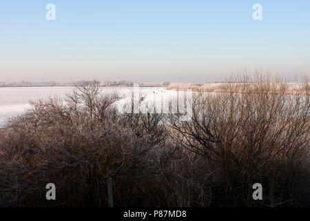 Oostvaardersplassen met schaatsers, Skater auf Oostvaardersplassen Stockfoto