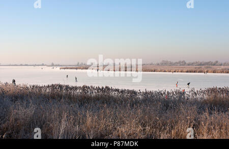 Oostvaardersplassen met schaatsers, Skater auf Oostvaardersplassen Stockfoto