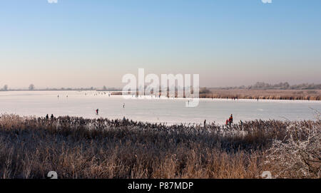 Oostvaardersplassen met schaatsers, Skater auf Oostvaardersplassen Stockfoto