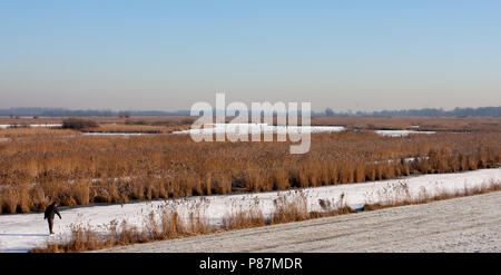 Oostvaardersplassen met schaatsers, Skater auf Oostvaardersplassen Stockfoto