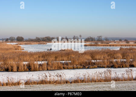 Oostvaardersplassen met schaatsers, Skater auf Oostvaardersplassen Stockfoto