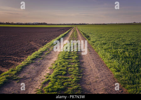 In ländlicher Umgebung in der Nähe von rabensburg im Bezirk Mistelbach im österreichischen Bundesland Niederösterreich. Stockfoto