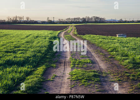 In ländlicher Umgebung in der Nähe von rabensburg im Bezirk Mistelbach im österreichischen Bundesland Niederösterreich. Stockfoto