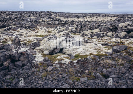 Lavafeld mit Moos auf einem Reykjanesskagi - Südliche Halbinsel im Südwesten von Island abgedeckt Stockfoto