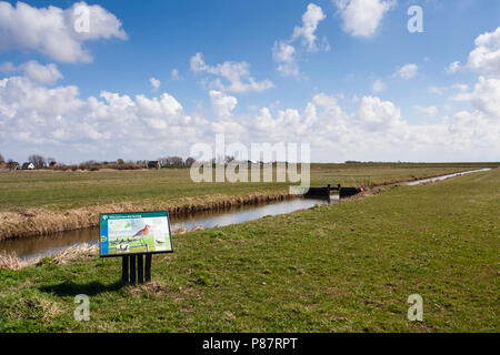 Zeichen des Staatsbosbeheer am Westerlanderkoog im Frühjahr Stockfoto