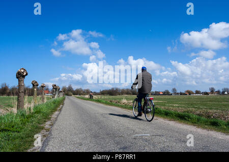 Man Radfahren an der Westerlanderkoog im Frühjahr Stockfoto