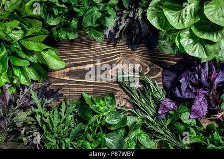 Auswahl an frischen Kräutern auf Holz- Hintergrund. Frisch geerntete Kräuter wie Basilikum, Rucola. Ansicht von oben. Kopieren Sie Platz. Stockfoto