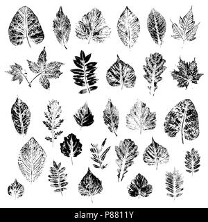 Blätter der schwarzen Silhouetten von Bäumen und Sträuchern. Satz von Vektorgrafiken Stock Vektor