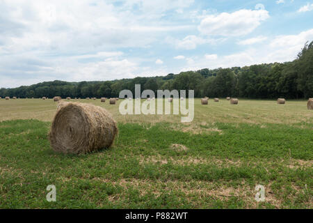 Heu Brötchen liegen in Feld nach der Ernte, Samois-sur-Seine, Frankreich, Stockfoto