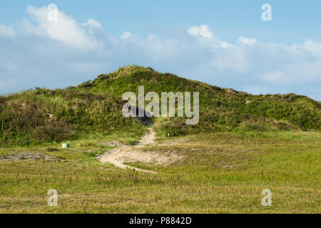 Landschaft am Zuidduinen im Sommer Stockfoto