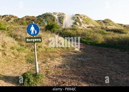 Wandelpad in De Duinen op Schiermonnikoog; Wanderweg in Dünen auf Schiermonnikoog Stockfoto