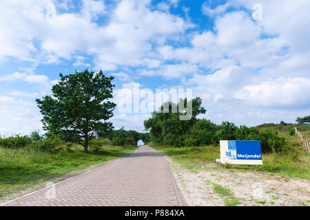 Meijendel neben einer Straße im Sommer Stockfoto