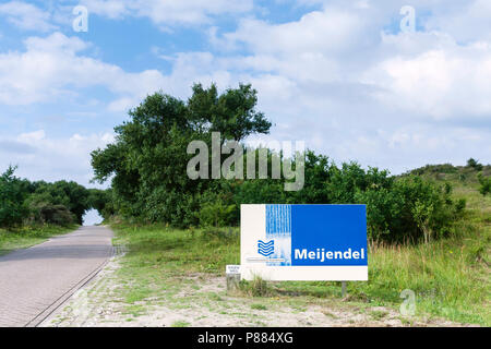 Meijendel neben einer Straße im Sommer Stockfoto