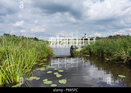 Weibliche Radfahrer an Nationaal Park De Weerribben im Sommer Stockfoto