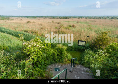 Aussichtspunkt an Groene Strand im Frühjahr mit Treppen in den Vordergrund Stockfoto