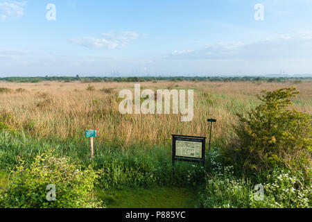 Zeichen der Zuid-Hollands Groene Landschap am Strand mit Röhricht im Hintergrund Stockfoto