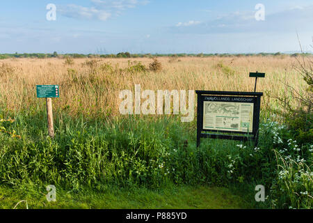 Zeichen der Zuid-Hollands Groene Landschap am Strand mit Röhricht im Hintergrund Stockfoto