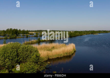 Uitzicht über Het laagveenmoeras met rietland; Blick auf Torf - bog mit reedbeds Stockfoto