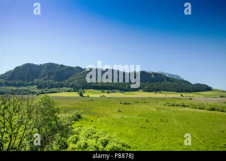 Natura 2000 gebied de Markt, Natura-2000-Gebiet Stockfoto