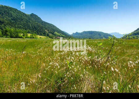 Natura 2000 gebied de Markt, Natura-2000-Gebiet Stockfoto