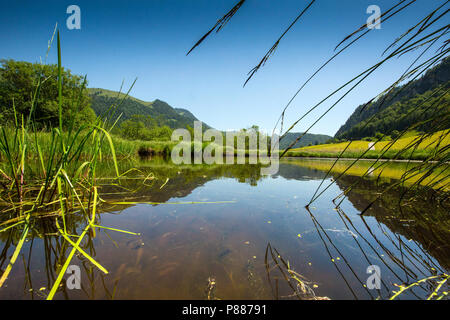 Natura 2000 gebied de Markt, Natura-2000-Gebiet Stockfoto