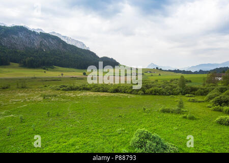 Natura 2000 gebied de Markt, Natura-2000-Gebiet Stockfoto