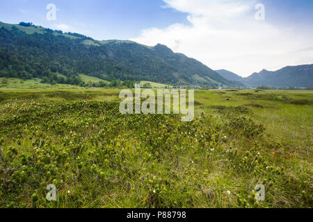 Natura 2000 gebied de Markt, Natura-2000-Gebiet Stockfoto