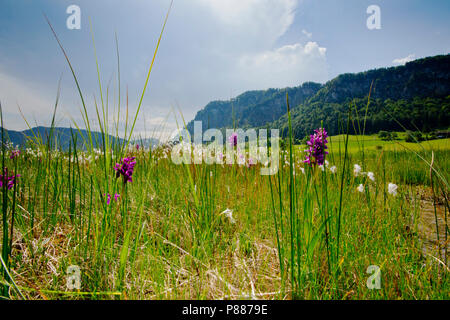 Natura 2000 gebied de Markt, Natura-2000-Gebiet Stockfoto