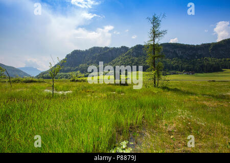 Natura 2000 gebied de Markt, Natura-2000-Gebiet Stockfoto