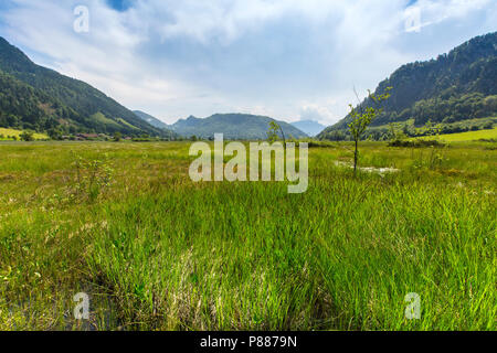 Natura 2000 gebied de Markt, Natura-2000-Gebiet Stockfoto