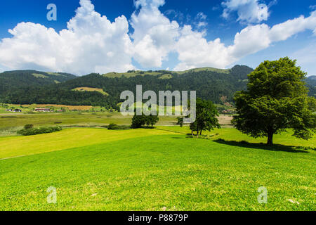 Natura 2000 gebied de Markt, Natura-2000-Gebiet Stockfoto