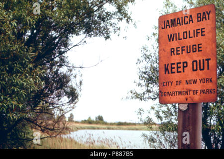 Jamaika Bay-In den Pfad der Atlantic Flyway, der Route der Zugvögel 06 1973 Stockfoto