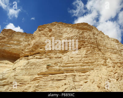 Wadi Ein Avdat, Israel Stockfoto