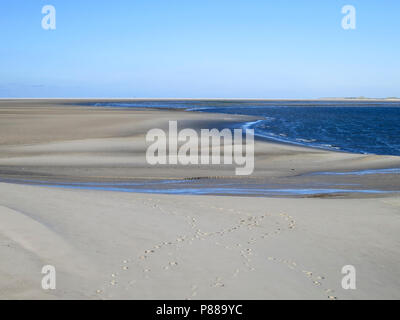 Weids uitzicht über het Strand met bandensporen, umfassenden Blick auf den Strand mit Reifenspuren Stockfoto