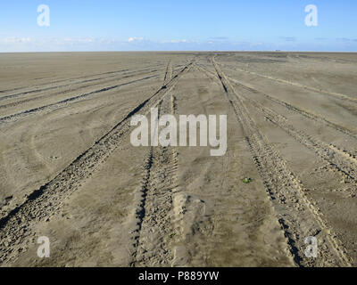 Weids uitzicht über het Strand met bandensporen, umfassenden Blick auf den Strand mit Reifenspuren Stockfoto