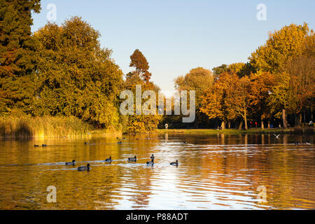 Vondelpark in Amsterdam de herfst; Vondelpark in Amsterdam im Herbst Stockfoto